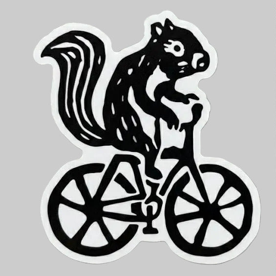 Squirrel on a bike