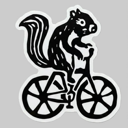 Squirrel on a bike