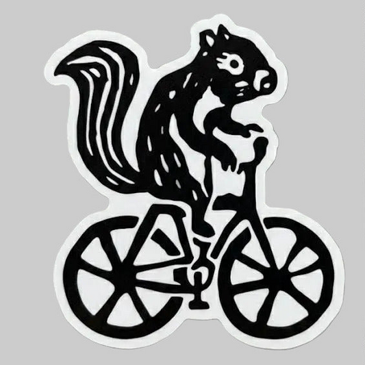 Squirrel on a bike